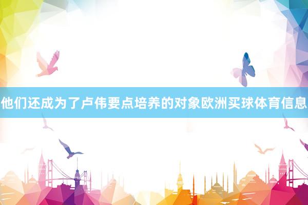 他们还成为了卢伟要点培养的对象欧洲买球体育信息