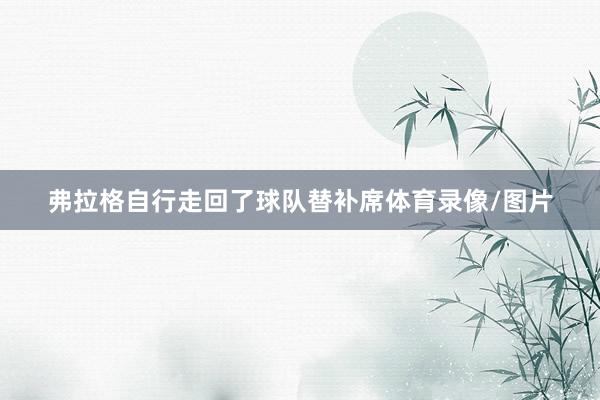 弗拉格自行走回了球队替补席体育录像/图片