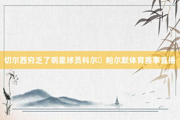 切尔西穷乏了明星球员科尔・帕尔默体育赛事直播