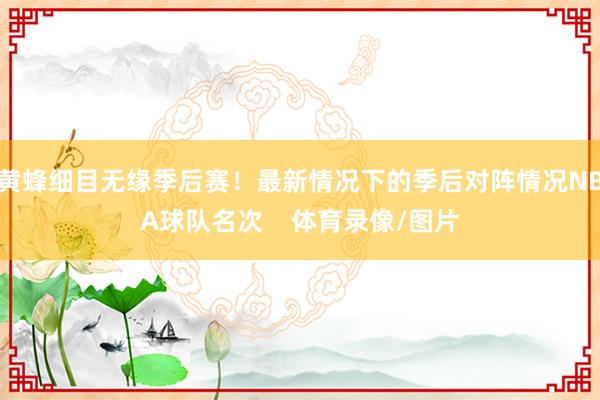 黄蜂细目无缘季后赛！最新情况下的季后对阵情况NBA球队名次    体育录像/图片