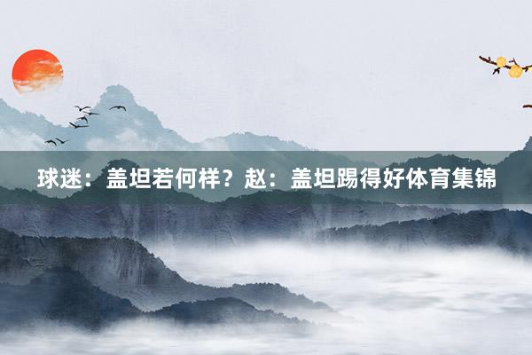 球迷：盖坦若何样？赵：盖坦踢得好体育集锦