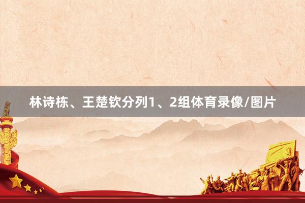 林诗栋、王楚钦分列1、2组体育录像/图片