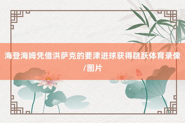 海登海姆凭借洪萨克的要津进球获得跳跃体育录像/图片