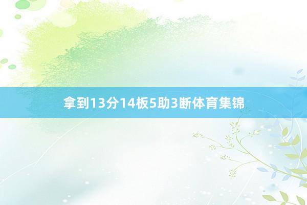 拿到13分14板5助3断体育集锦