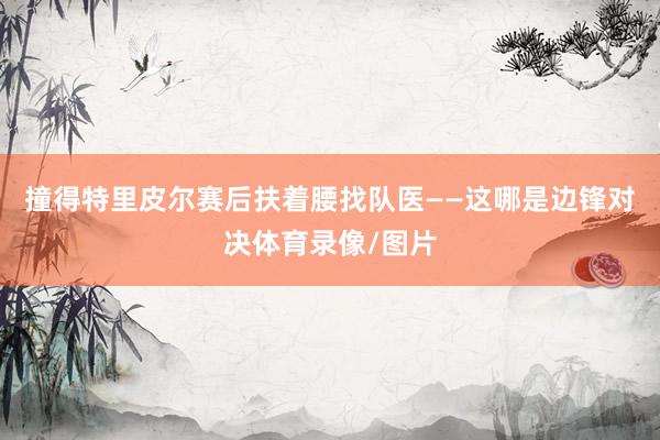 撞得特里皮尔赛后扶着腰找队医——这哪是边锋对决体育录像/图片