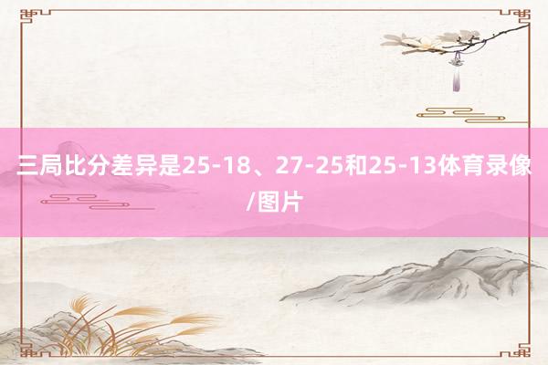 三局比分差异是25-18、27-25和25-13体育录像/图片