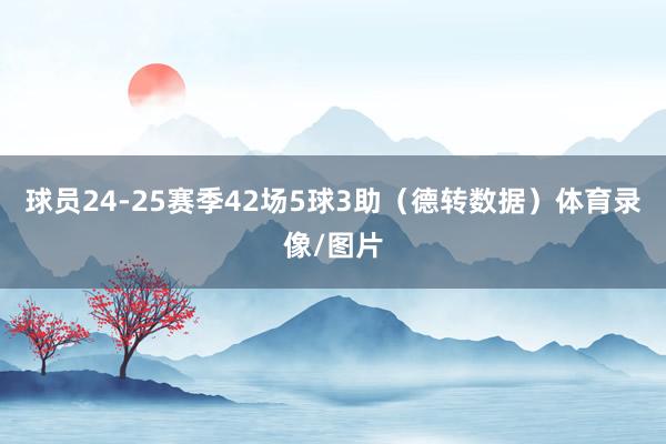 球员24-25赛季42场5球3助（德转数据）体育录像/图片