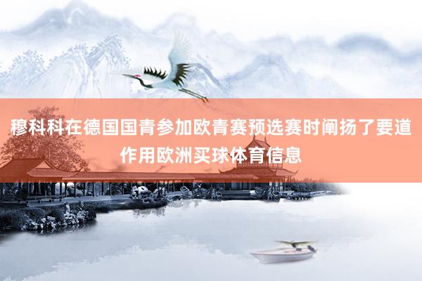 穆科科在德国国青参加欧青赛预选赛时阐扬了要道作用欧洲买球体育信息