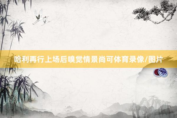 哈利再行上场后嗅觉情景尚可体育录像/图片