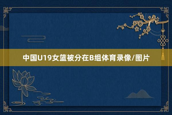 中国U19女篮被分在B组体育录像/图片