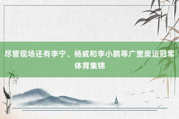尽管现场还有李宁、杨威和李小鹏等广宽奥运冠军体育集锦