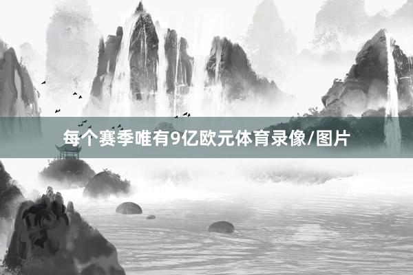 每个赛季唯有9亿欧元体育录像/图片
