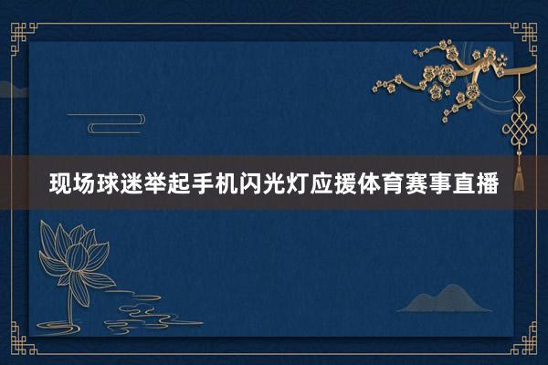 现场球迷举起手机闪光灯应援体育赛事直播