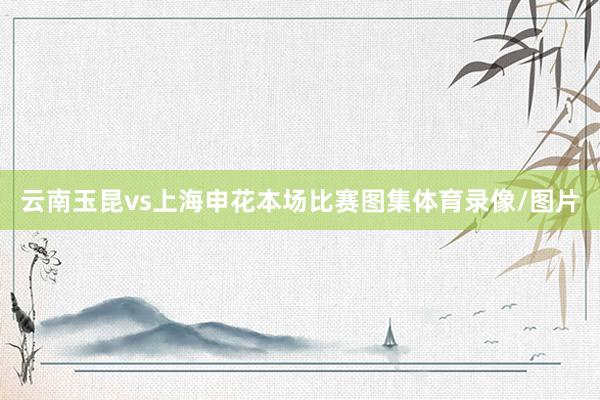 云南玉昆vs上海申花本场比赛图集体育录像/图片