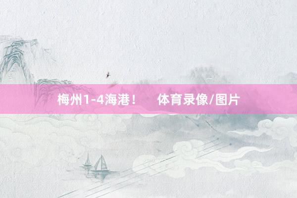 梅州1-4海港！    体育录像/图片