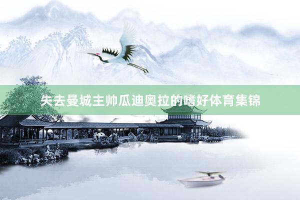 失去曼城主帅瓜迪奥拉的嗜好体育集锦