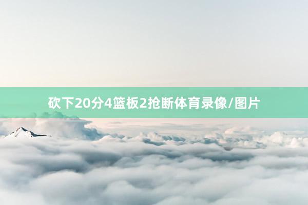砍下20分4篮板2抢断体育录像/图片