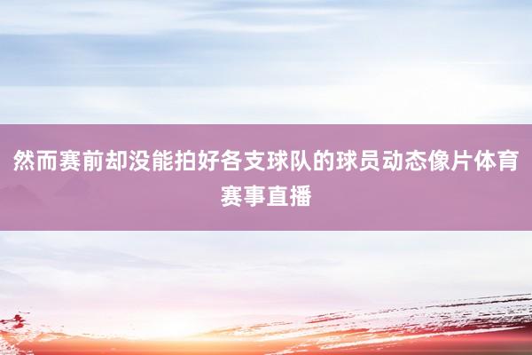 然而赛前却没能拍好各支球队的球员动态像片体育赛事直播