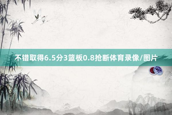 不错取得6.5分3篮板0.8抢断体育录像/图片