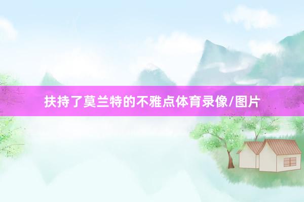 扶持了莫兰特的不雅点体育录像/图片