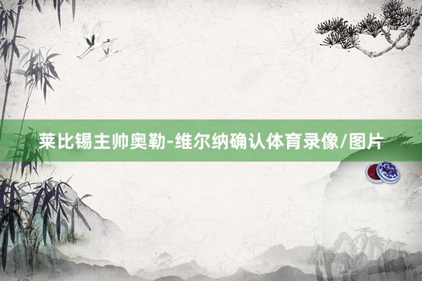 莱比锡主帅奥勒-维尔纳确认体育录像/图片