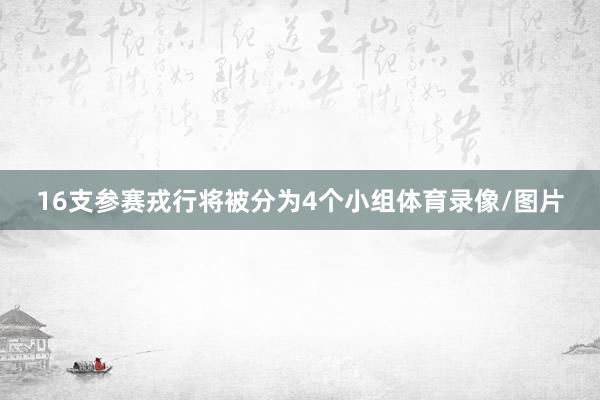 16支参赛戎行将被分为4个小组体育录像/图片