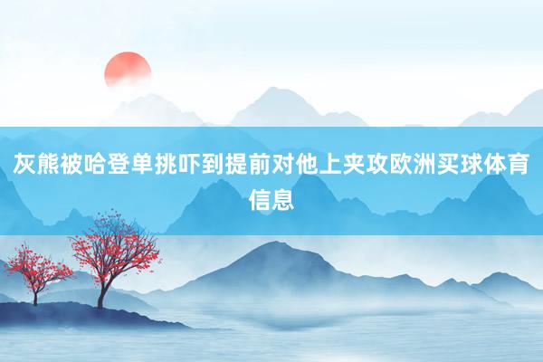 灰熊被哈登单挑吓到提前对他上夹攻欧洲买球体育信息