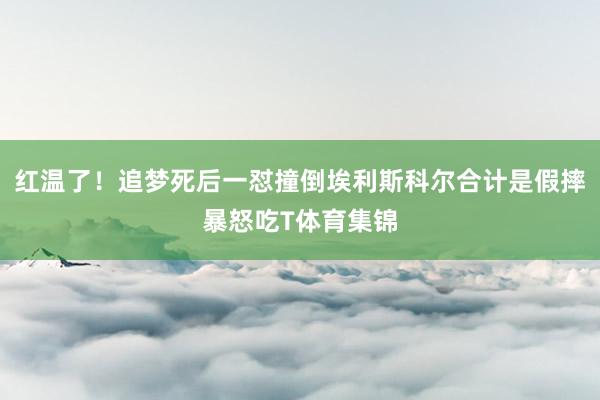 红温了！追梦死后一怼撞倒埃利斯科尔合计是假摔暴怒吃T体育集锦