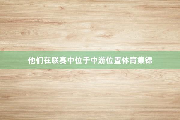 他们在联赛中位于中游位置体育集锦