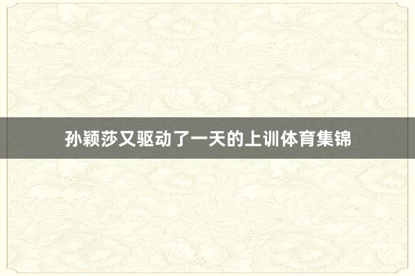 孙颖莎又驱动了一天的上训体育集锦
