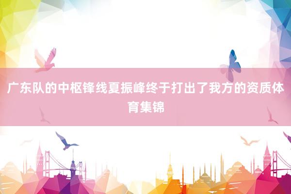 广东队的中枢锋线夏振峰终于打出了我方的资质体育集锦