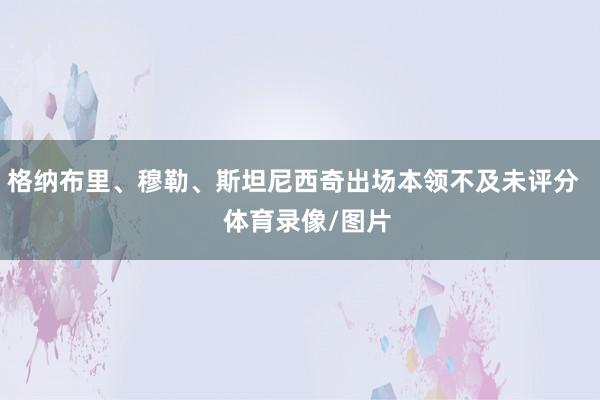 格纳布里、穆勒、斯坦尼西奇出场本领不及未评分    体育录像/图片