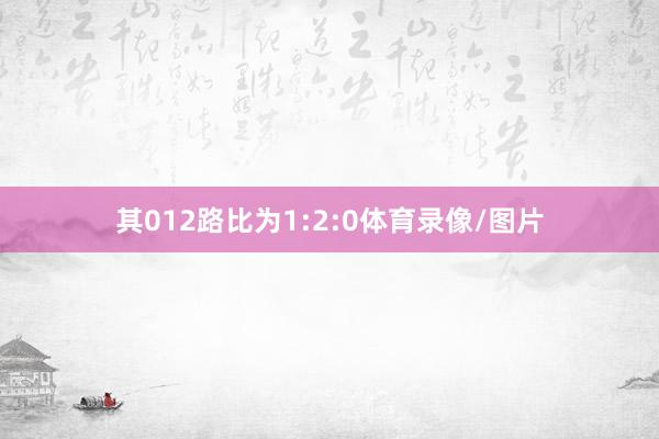 其012路比为1:2:0体育录像/图片