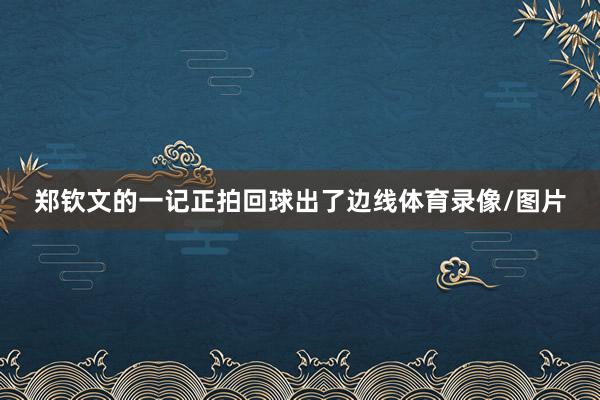 郑钦文的一记正拍回球出了边线体育录像/图片
