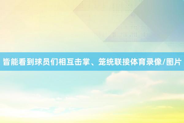 皆能看到球员们相互击掌、笼统联接体育录像/图片