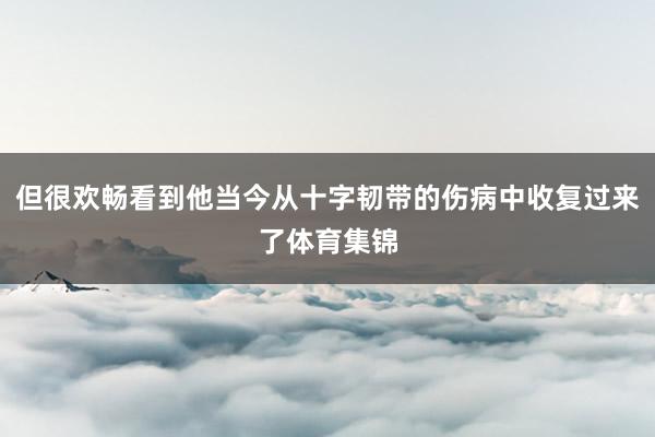 但很欢畅看到他当今从十字韧带的伤病中收复过来了体育集锦