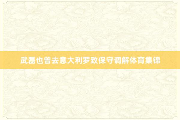 武磊也曾去意大利罗致保守调解体育集锦