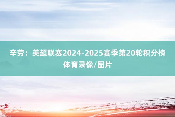 辛劳：英超联赛2024-2025赛季第20轮积分榜体育录像/图片