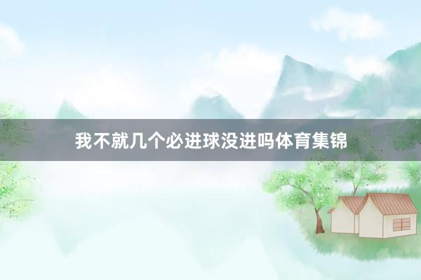我不就几个必进球没进吗体育集锦
