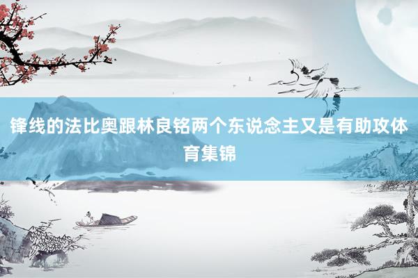 锋线的法比奥跟林良铭两个东说念主又是有助攻体育集锦