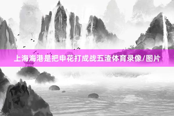 上海海港是把申花打成战五渣体育录像/图片