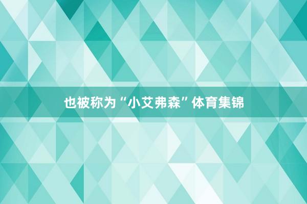 也被称为“小艾弗森”体育集锦