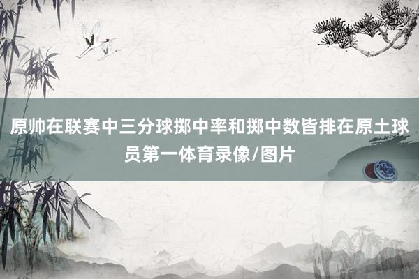 原帅在联赛中三分球掷中率和掷中数皆排在原土球员第一体育录像/图片