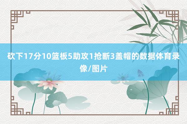 砍下17分10篮板5助攻1抢断3盖帽的数据体育录像/图片