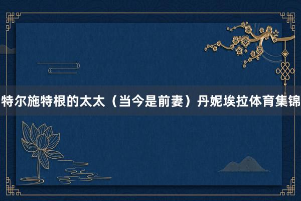 特尔施特根的太太(当今是前妻)丹妮埃拉体育集锦