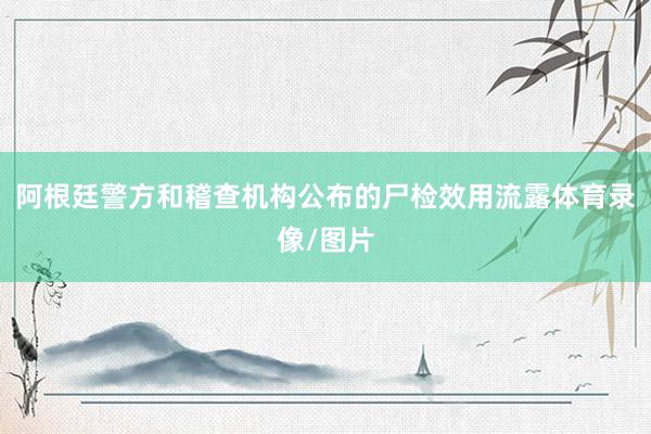 阿根廷警方和稽查机构公布的尸检效用流露体育录像/图片