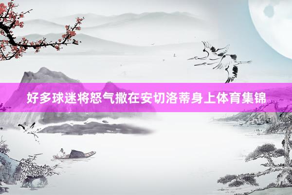 好多球迷将怒气撒在安切洛蒂身上体育集锦