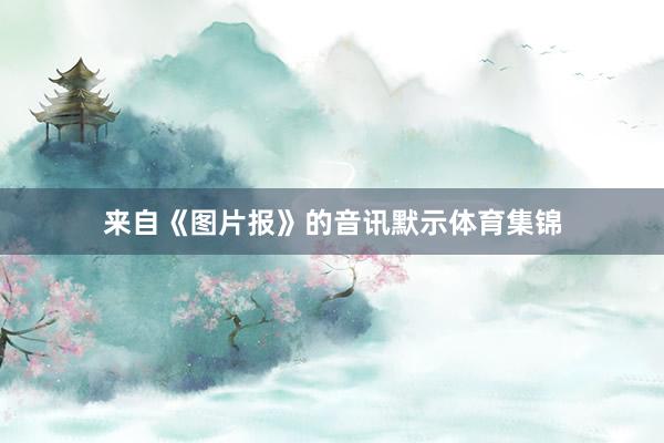 来自《图片报》的音讯默示体育集锦