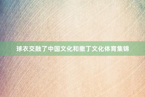 球衣交融了中国文化和撒丁文化体育集锦
