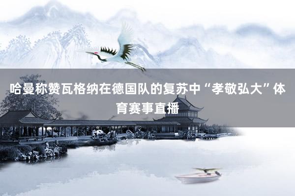哈曼称赞瓦格纳在德国队的复苏中“孝敬弘大”体育赛事直播